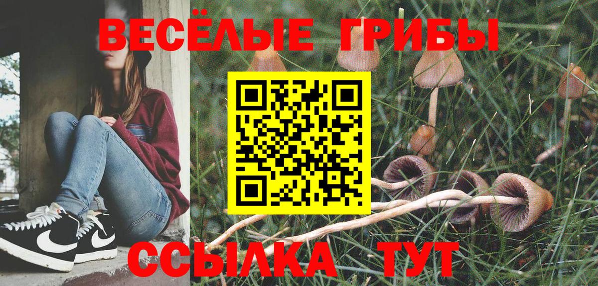 Галлюциногенные грибы Psilocybe  Вход с VPN  Химки 